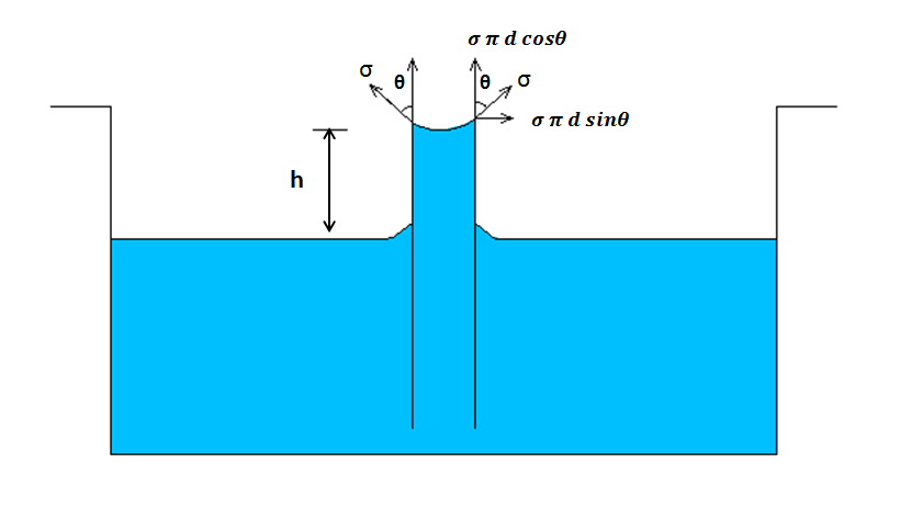 what-happens-when-a-capillarity-tube-of-a-length-shorter-than-the